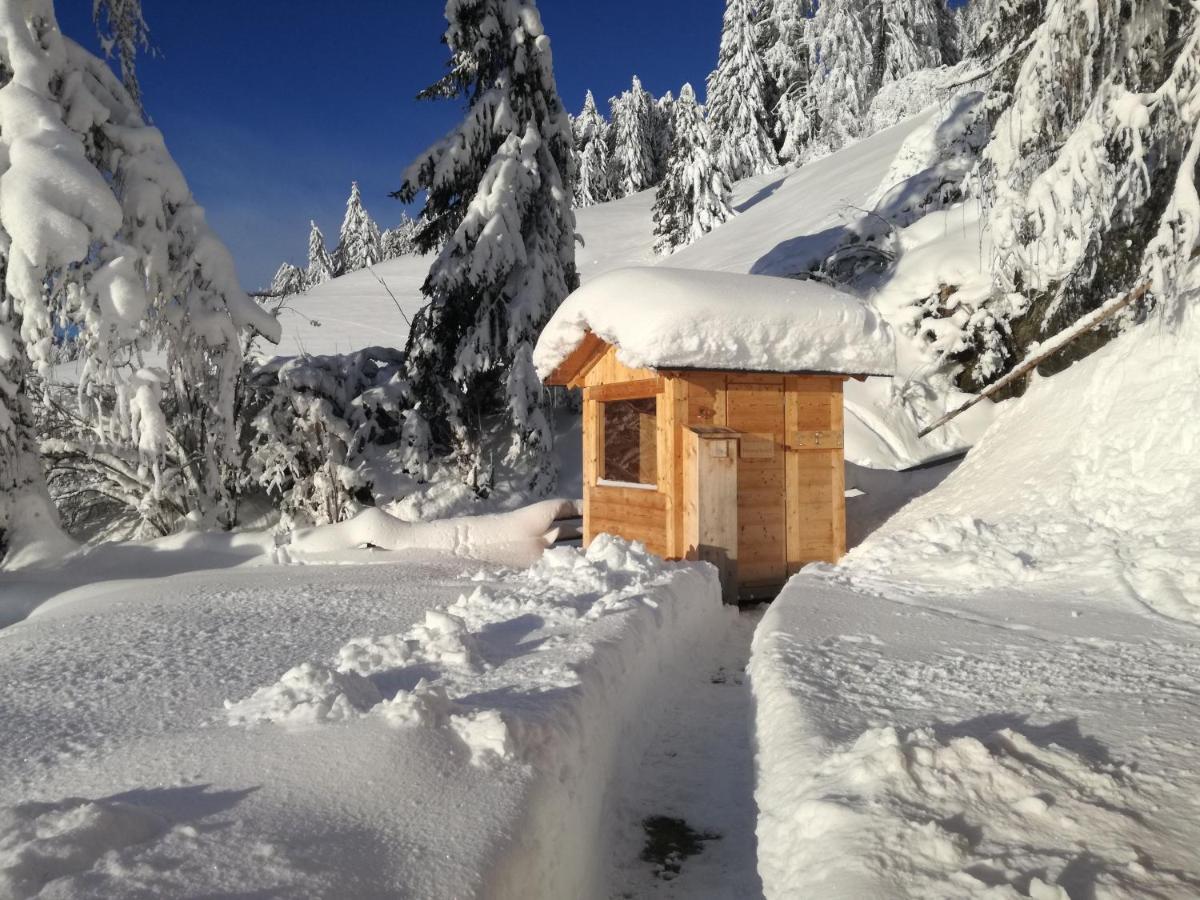Apartment Himmelreichhof سان كانديدو المظهر الخارجي الصورة